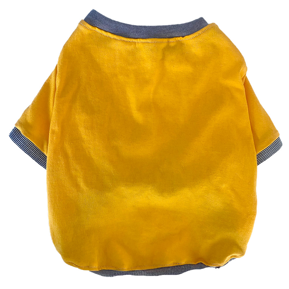 Camisa Básica Amarilla CAMISABASICA-0003 costa rica prendas para mascota