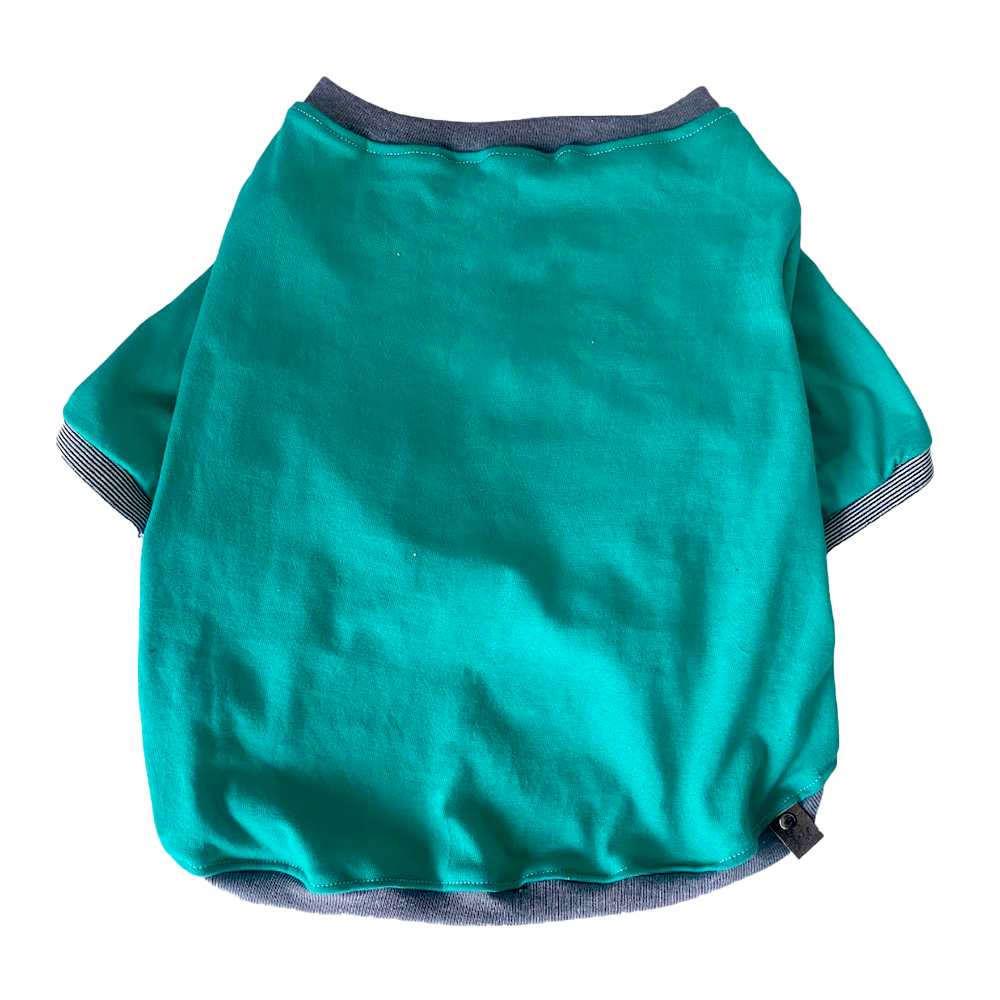 Camisa Básica Verde Turquesa CAMISABASICA-0001 costa rica prendas para mascota