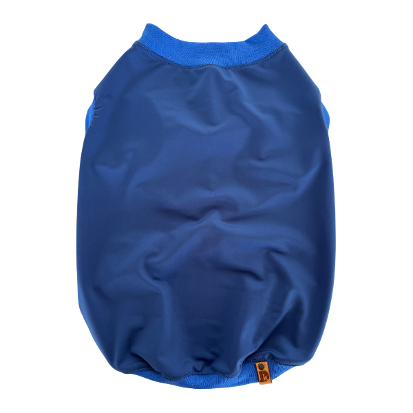 Camisa para mascota Básica Azul. Protección rayos UV. Ropa para Salchichas costa rica prendas para mascota