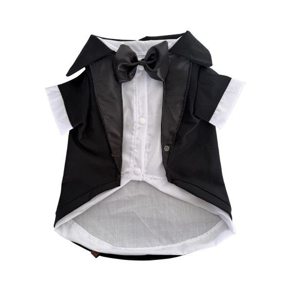 https://dukashstyle.com/wp-content/uploads/2025/08/image1-1.png